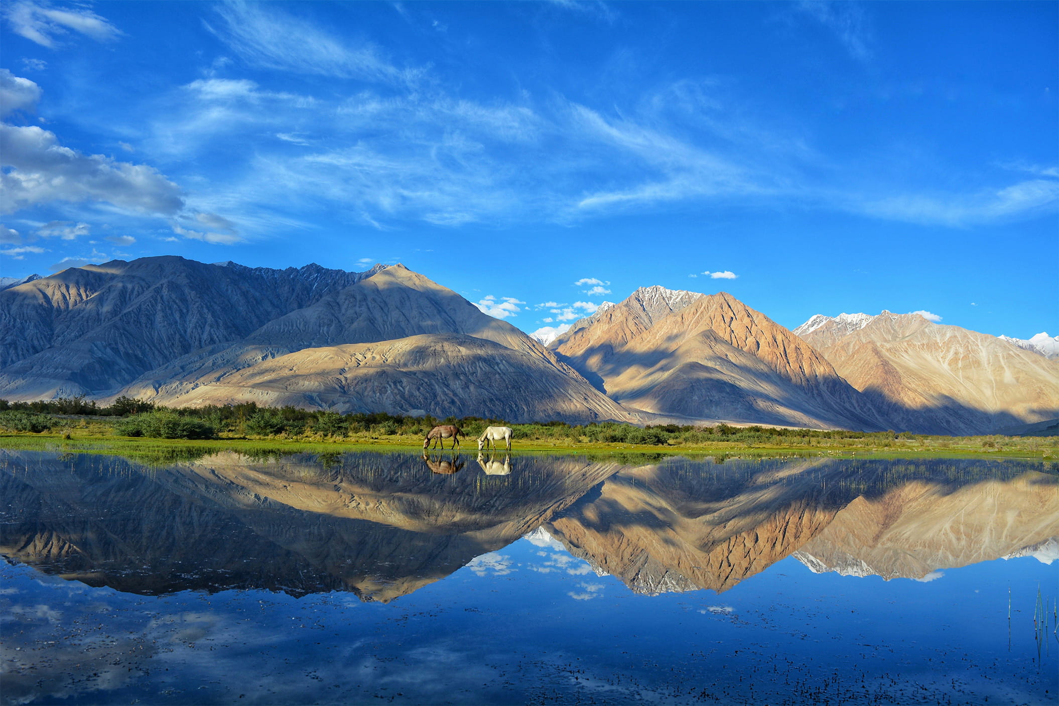 The Mirror Lake Ladakh