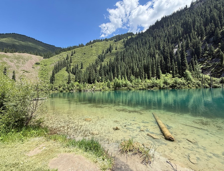 Kaindy Lake Is Where A Sunken Forest Rises From Clear Mountain Water