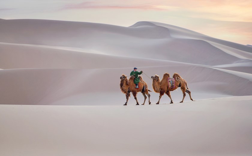 Ride a Bactrian camel with a camel herder family by the dunes