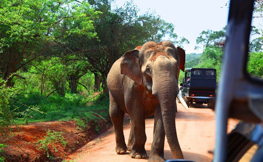 7 Days 6 Nights Tropical Sri Lanka Tour