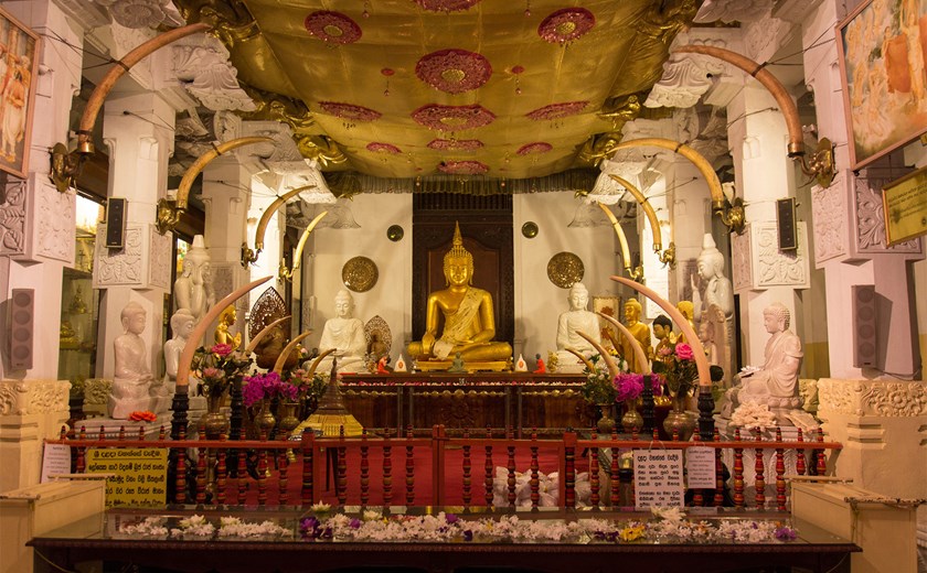 7 Days 6 Nights Tropical Sri Lanka Tour