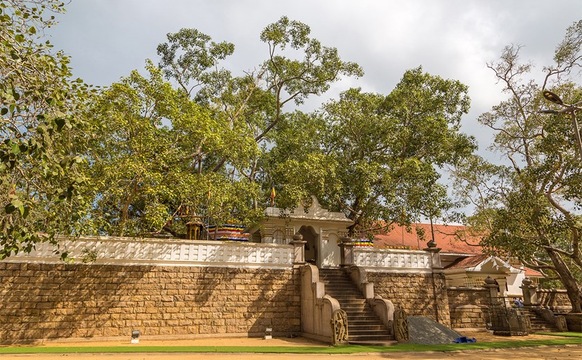4 Days 3 Nights Sri Lanka Buddhist Tour
