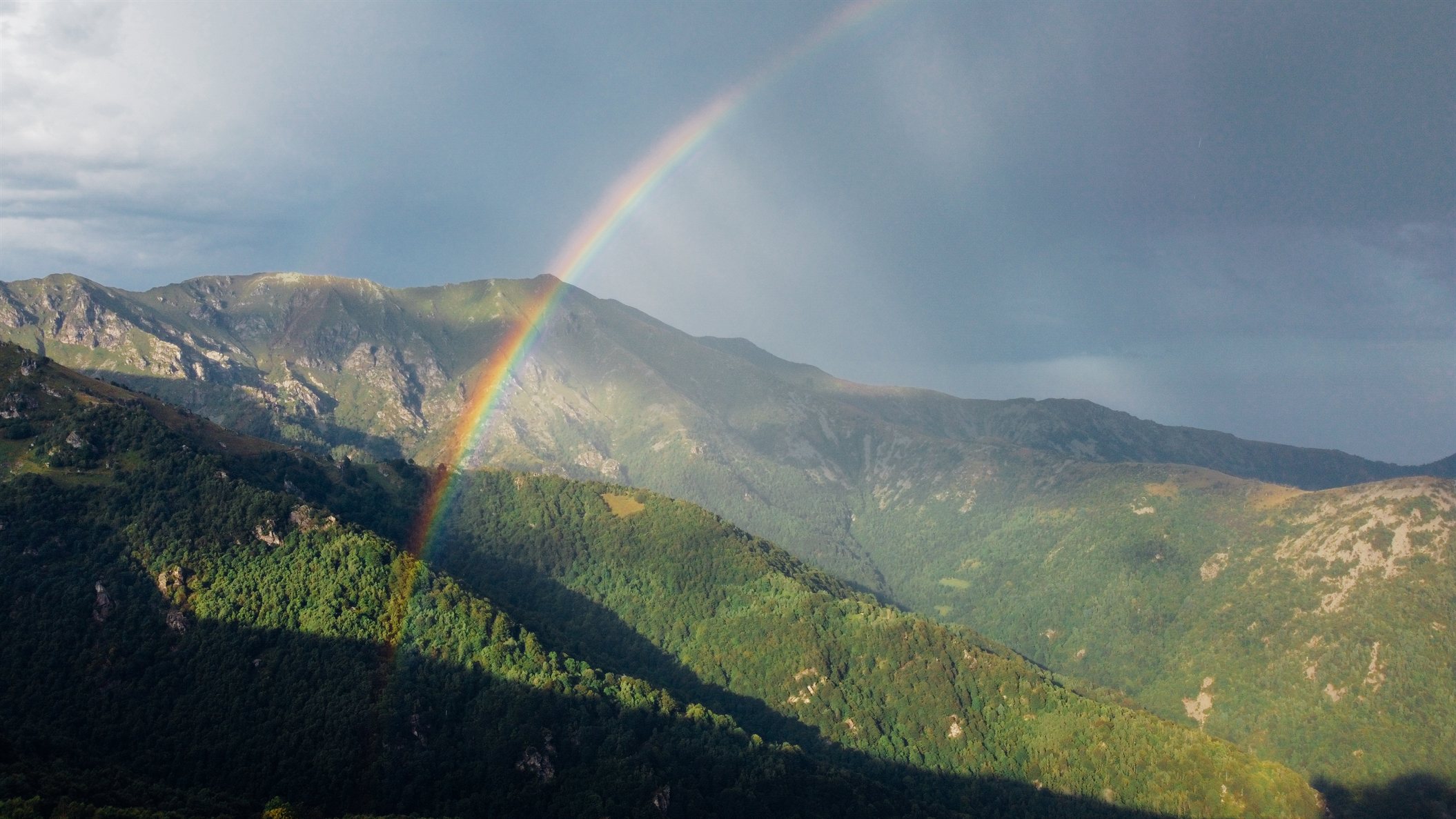 Bhutan valleys glow with colour after refreshing monsoon showers