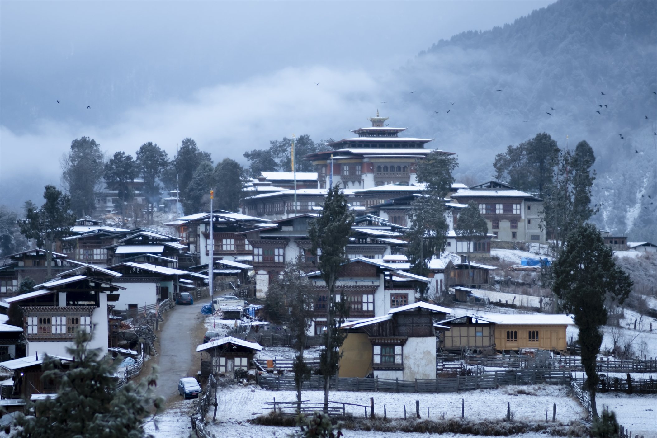 Phobjikha Valley embraces crisp mornings and colder mountain air