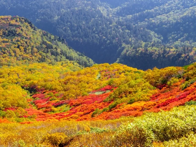 Campervan adventure through the stunning Sounkyo Gorge in Hokkaido