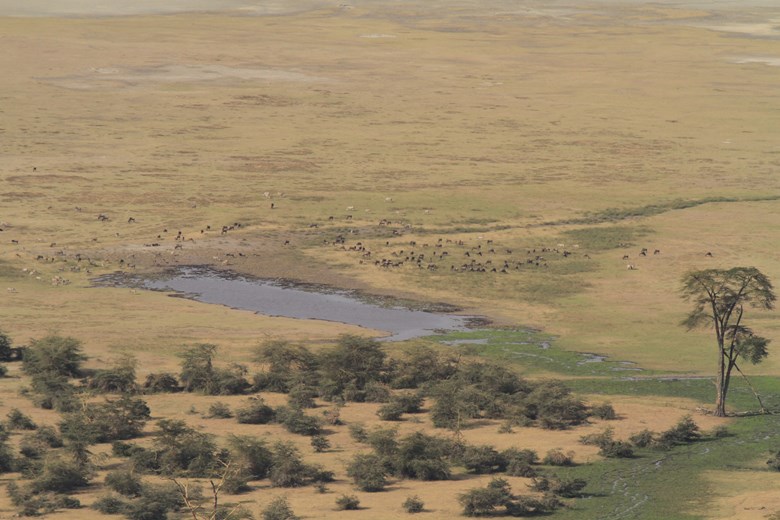 Aerial View of Ngorongoro Crater with Wildlife and Water