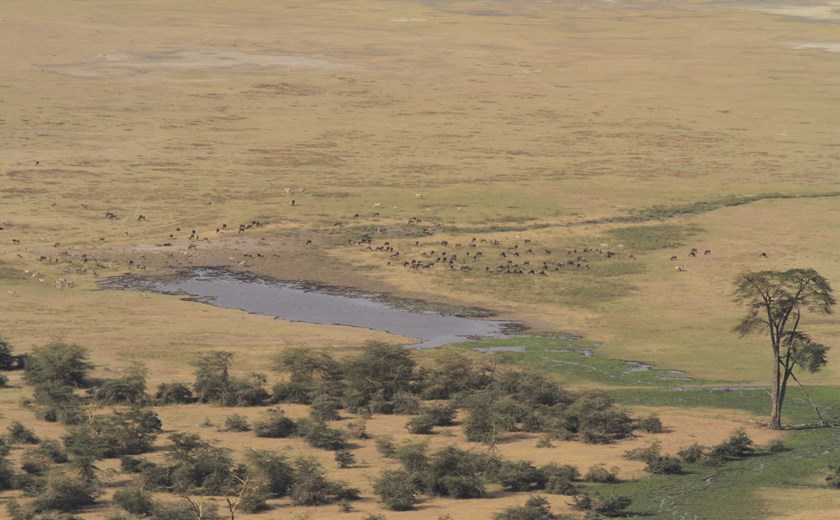 Aerial View of Ngorongoro Crater with Wildlife and Water
