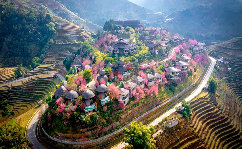 Garrya Mu Cang Chai during spring blossom season with stunning natural scenery