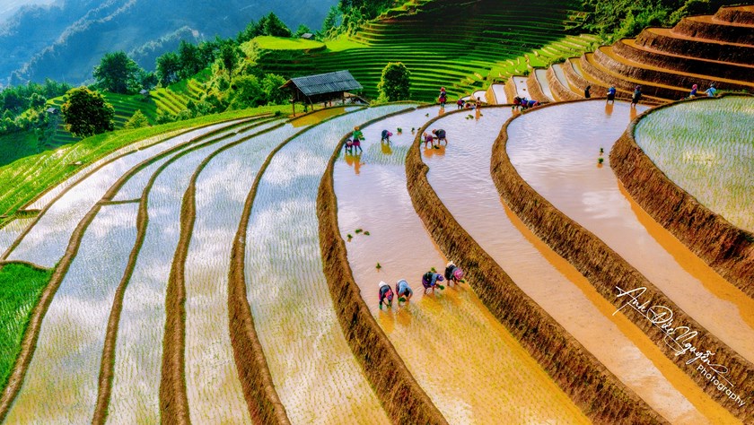 Mu Cang Chai’s iconic pouring water season viewed from a luxurious pool suite