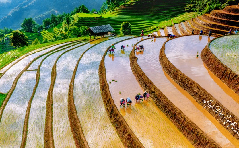 Mu Cang Chai’s iconic pouring water season viewed from a luxurious pool suite