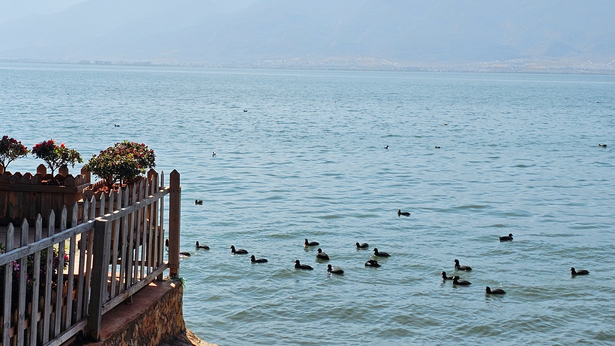Enjoy breathtaking Erhai Lake views framed by the Cangshan Mountains