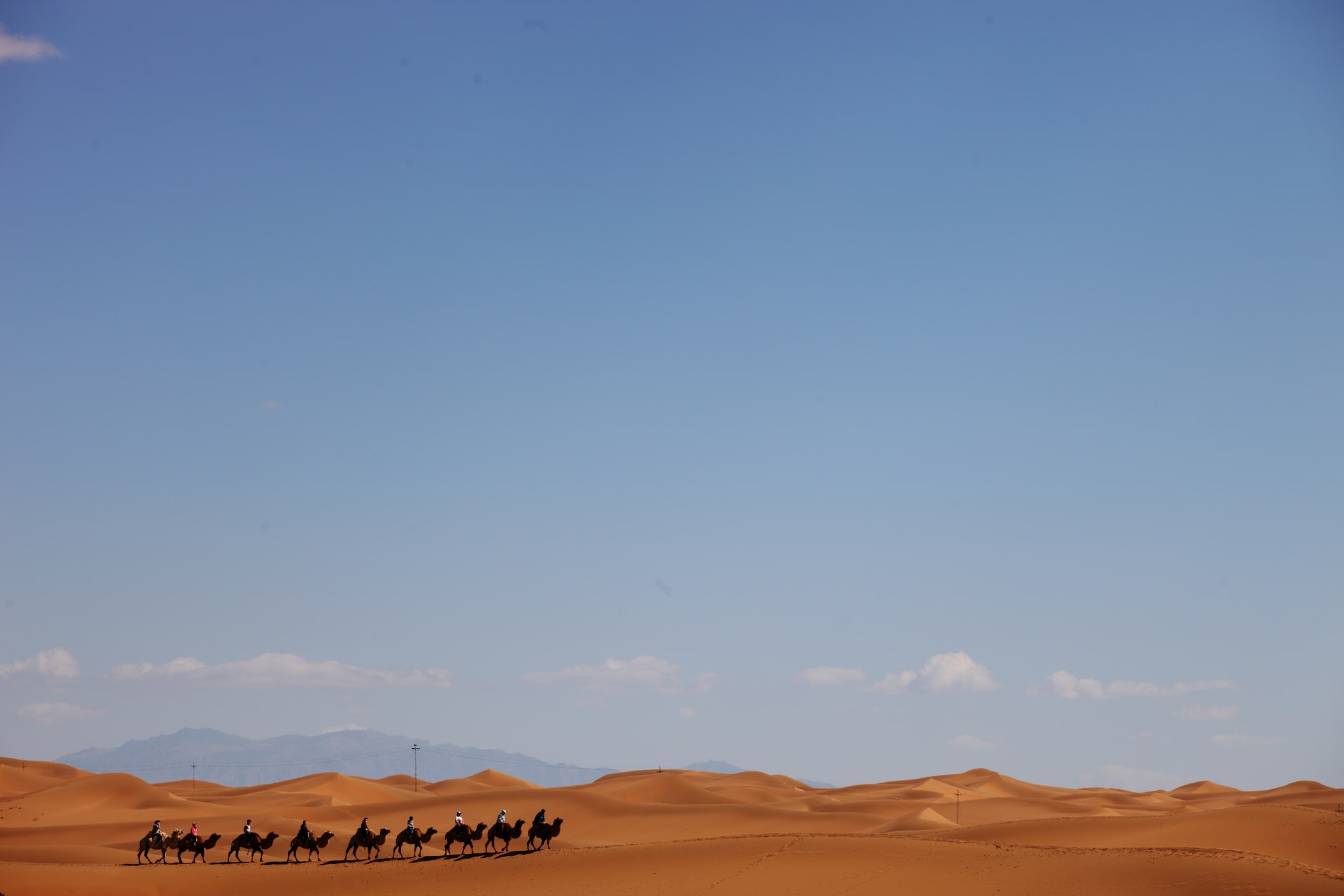 Follow ancient Silk Road routes as camels cross the vast Xinjiang desert
