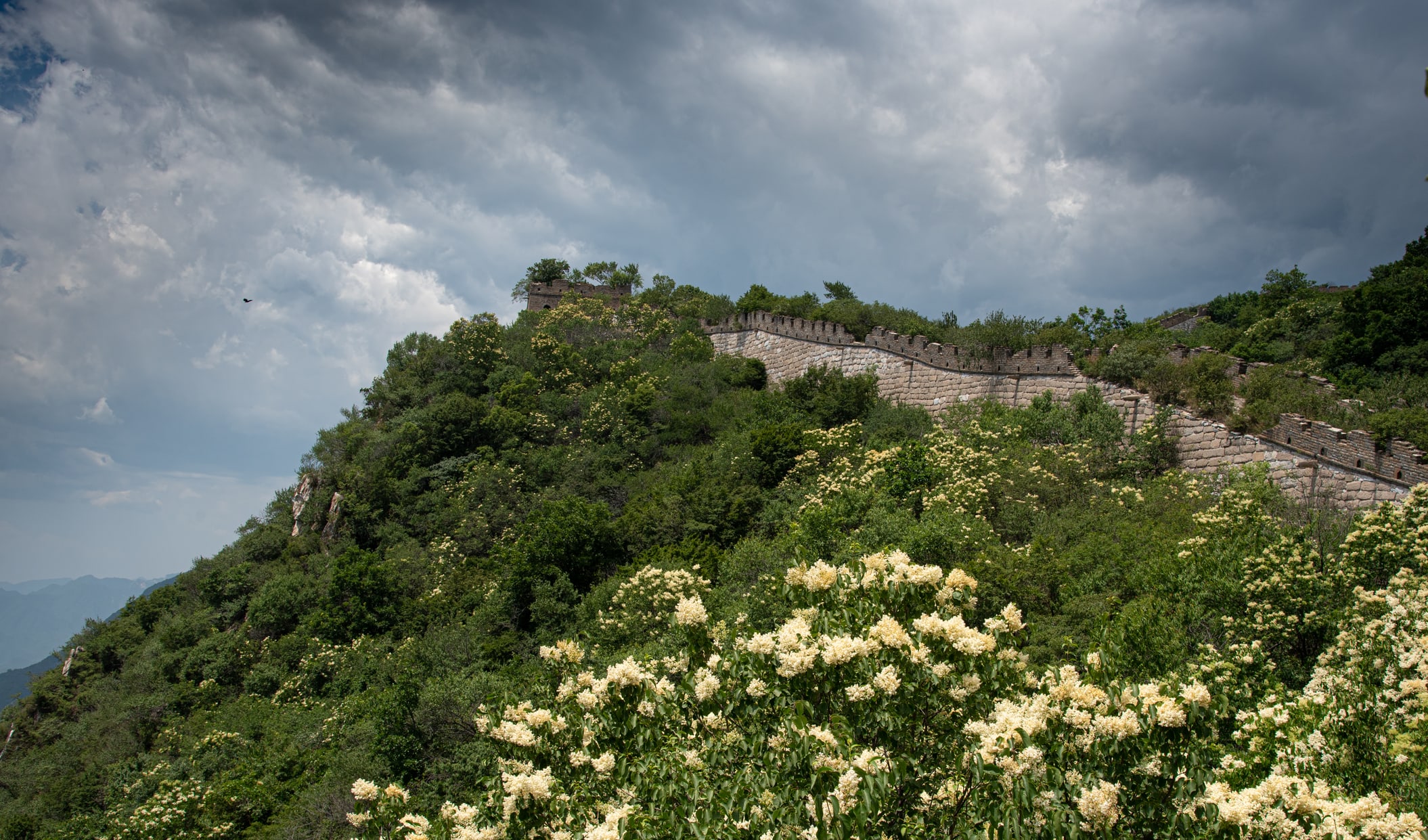 Walk the Great Wall surrounded by fresh spring landscapes and mountain views