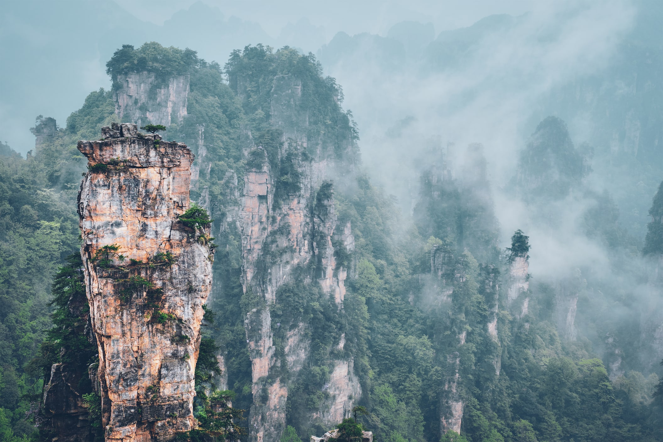 Walk among towering sandstone pillars rising through misty mountain forests
