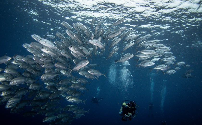 Diving and snorkeling near Fiabacet and Yilliet islands, surrounded by vibrant marine life.