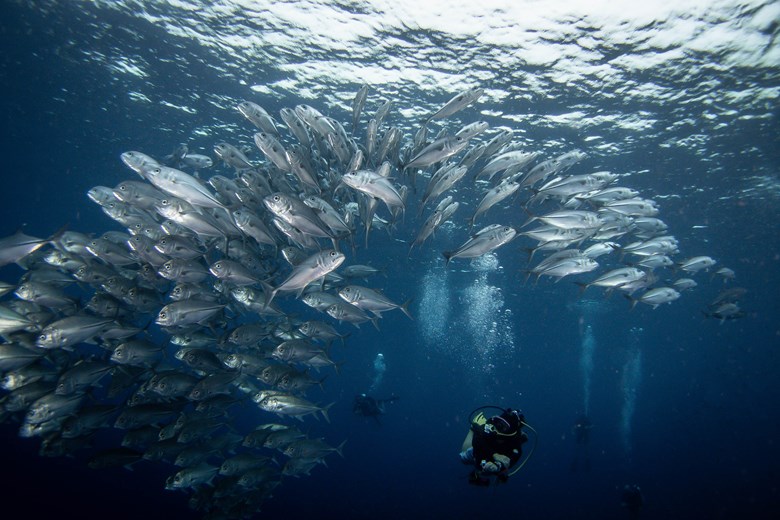 Diving and snorkeling near Fiabacet and Yilliet islands, surrounded by vibrant marine life.