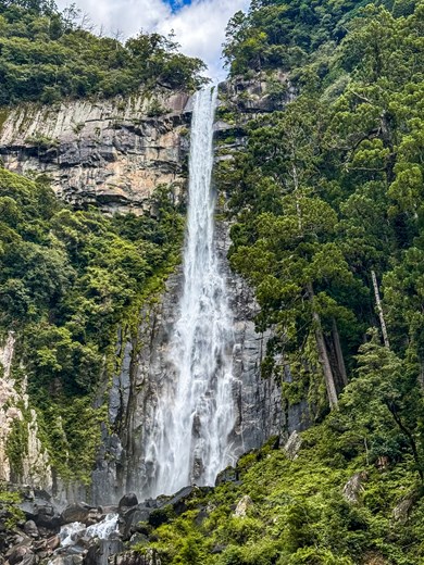 Nachi Waterfall in Kumano, Japan, cascading down surrounded by lush greenery.