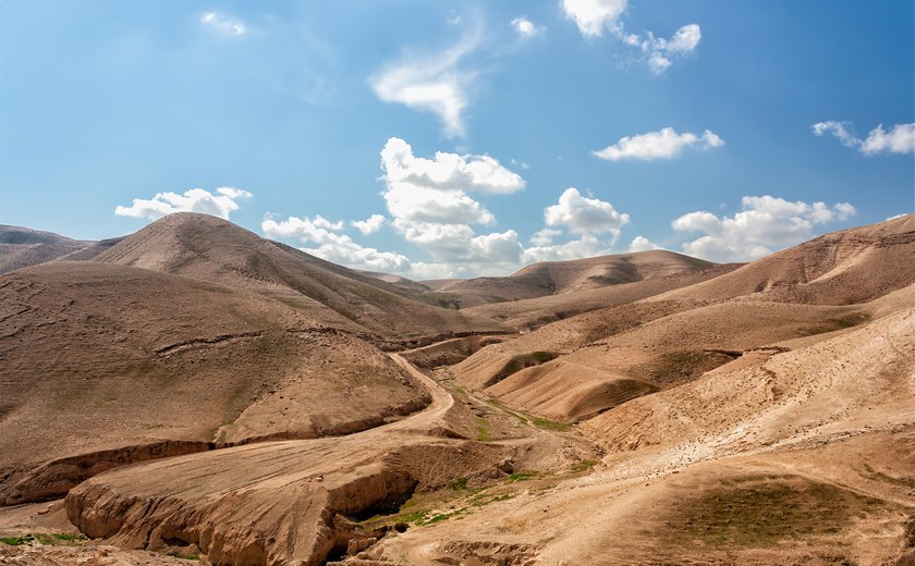 The vast, golden sweep of the Judean Desert—silent, ancient, and shaped by winds and time
