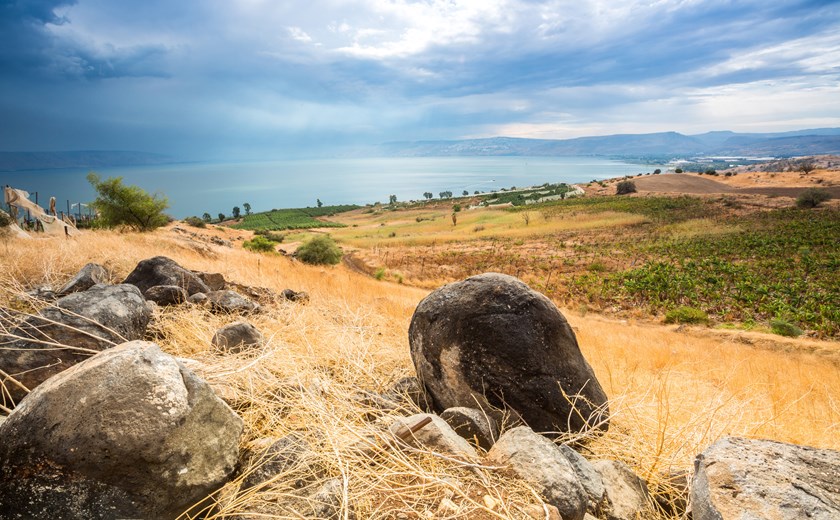 The ancient and well-kept Garden of Gethsemane in Jerusalem