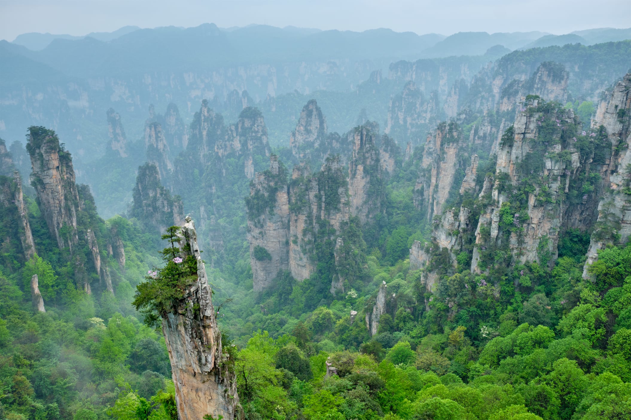 Zhangjiajie National Forest Park reveals spectacular mountain landscapes beyond major cities