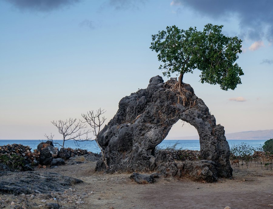 Baucau’s Rock of the Ring is a striking natural arch crowned by a tree, with the sea as its backdrop_.jpg