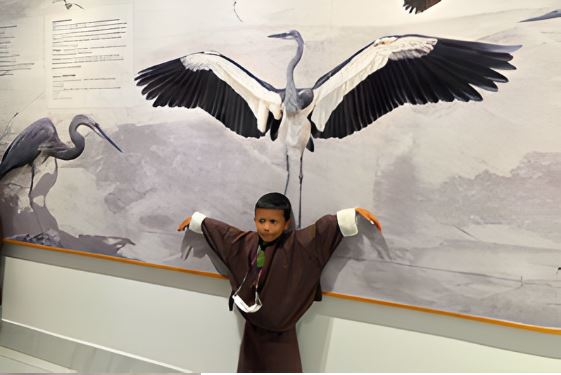 Kid playfully mimicking black-necked cranes at the Black-Necked Crane Information Centre, Bhutan