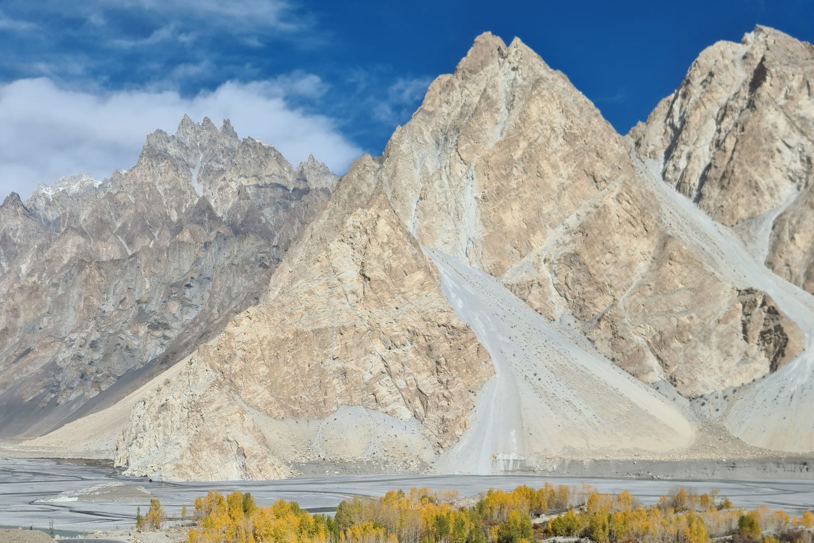 passu cones autumn trees