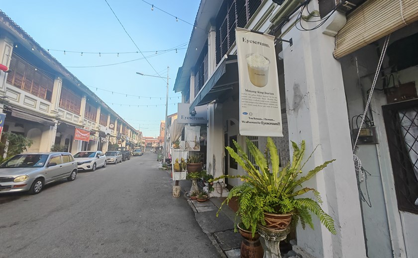 Narrow street in George Town, Penang, lined with shophouses, plants in pots, and traditional signage.