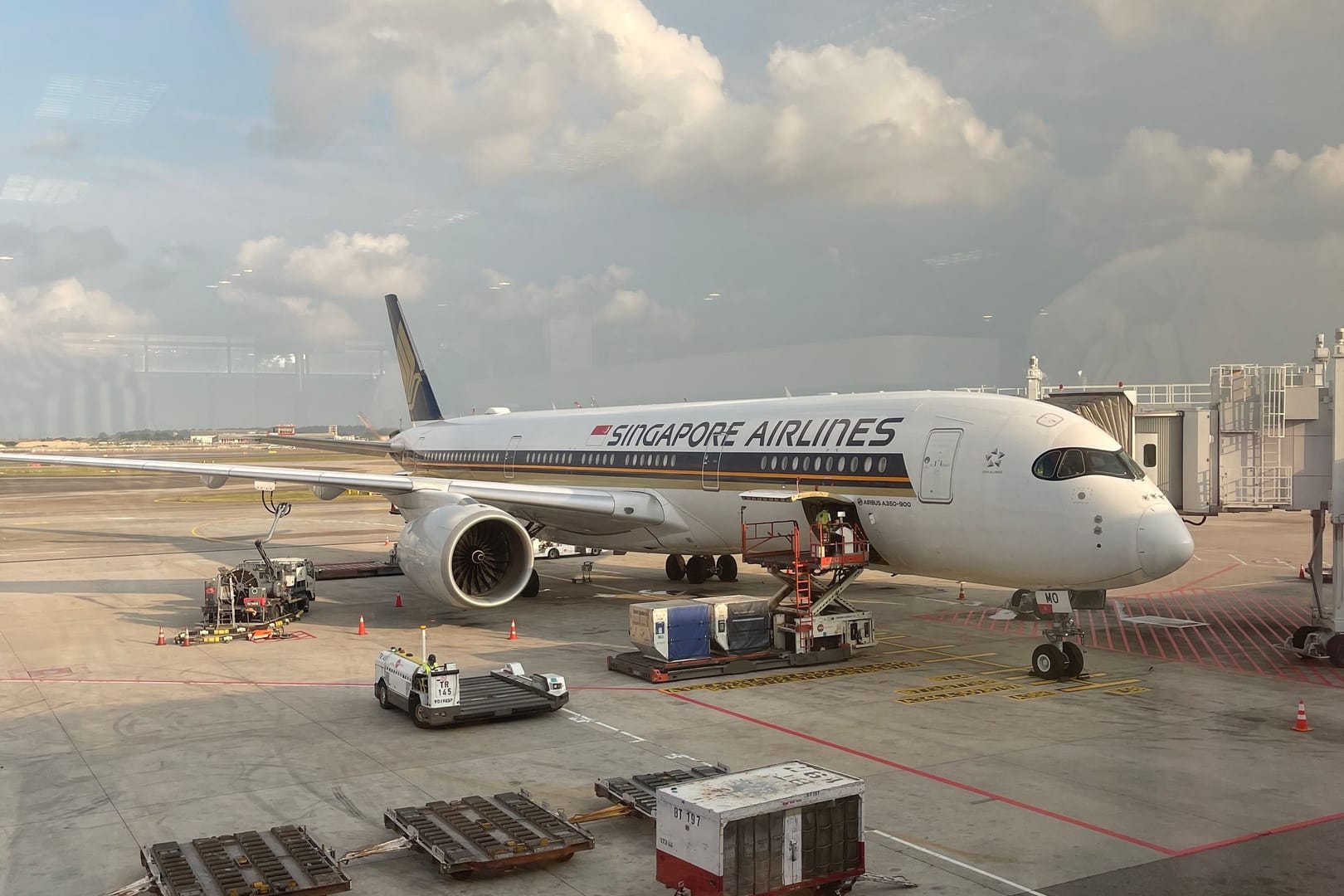 Changi Airport Aircraft Singapore