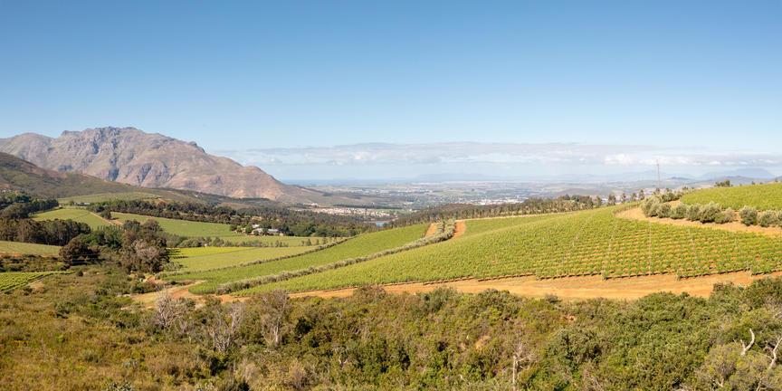 Stellenbosch, Cape Winelands, South Africa