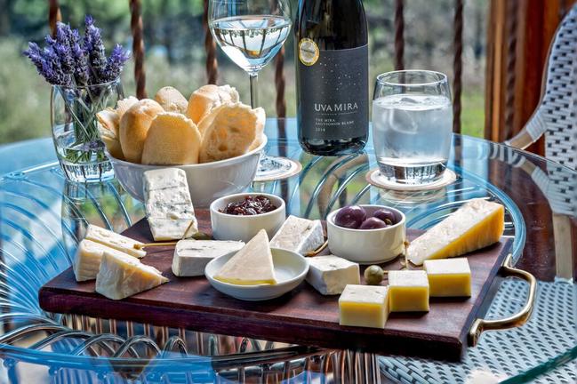 Uva Mira Mountain Vineyards, Cape Winelands, South Africa