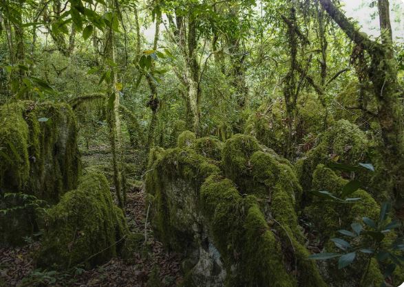 Atauro island, Timor Leste