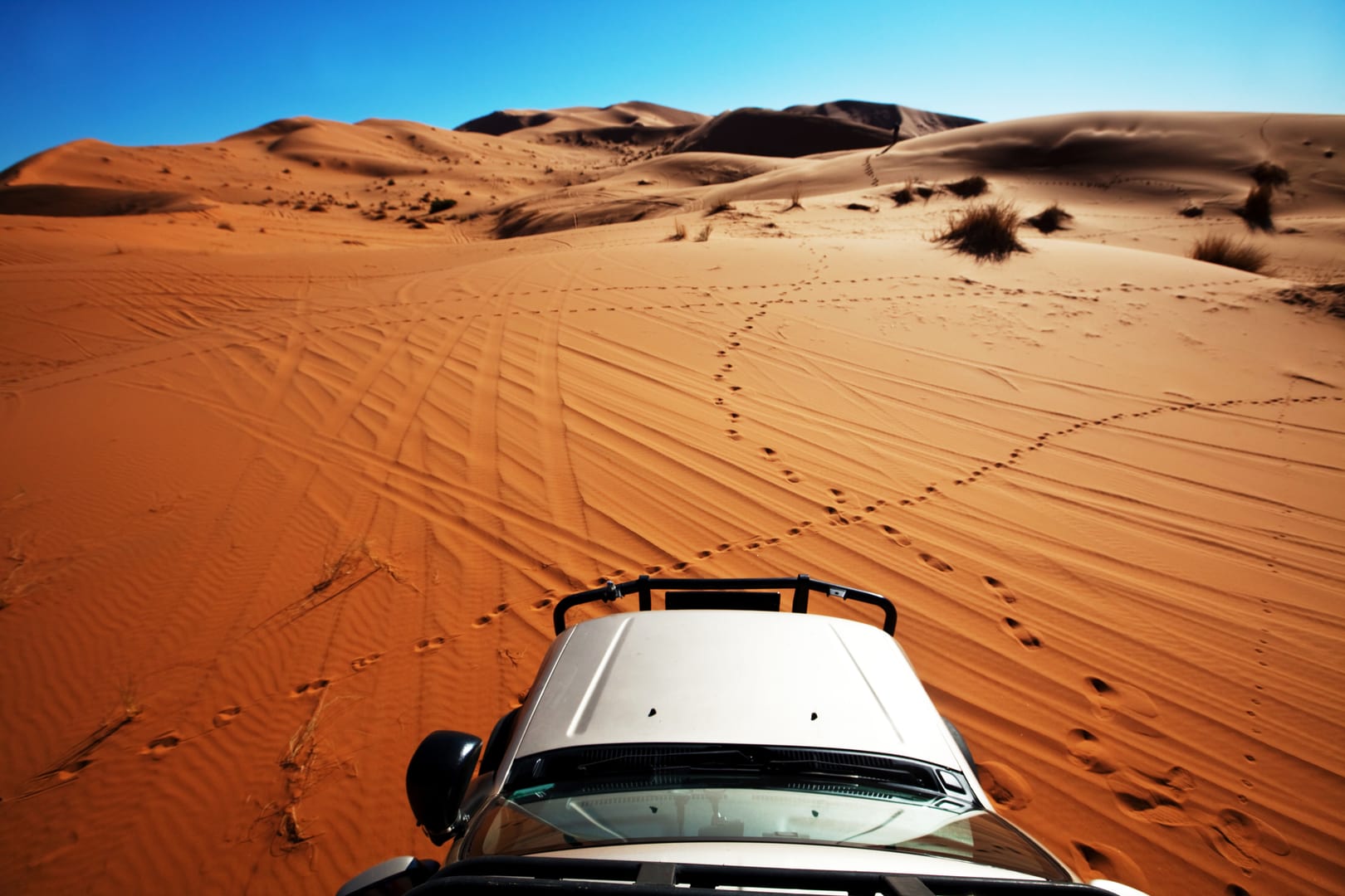 Mongolian Countryside Turning Every Remote Road Into An Unforgettable Adventure