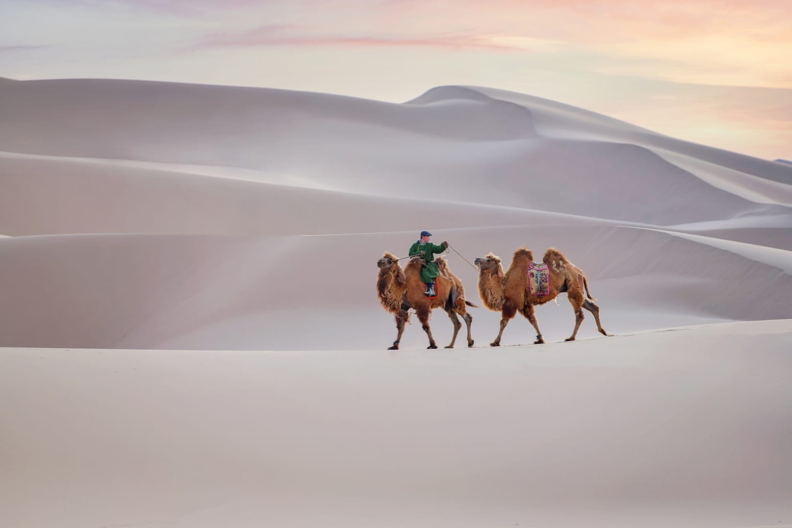 Camel Riders Crossing Golden Dunes Across The Vast Gobi Desert