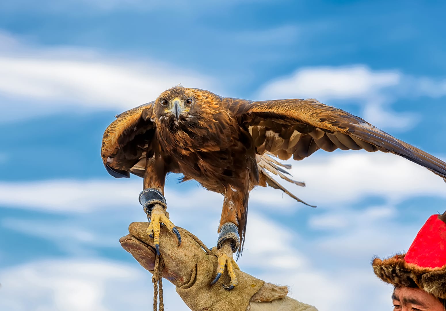 Golden Eagle Festival Showcasing Traditional Eagle Skills In Western Mongolia