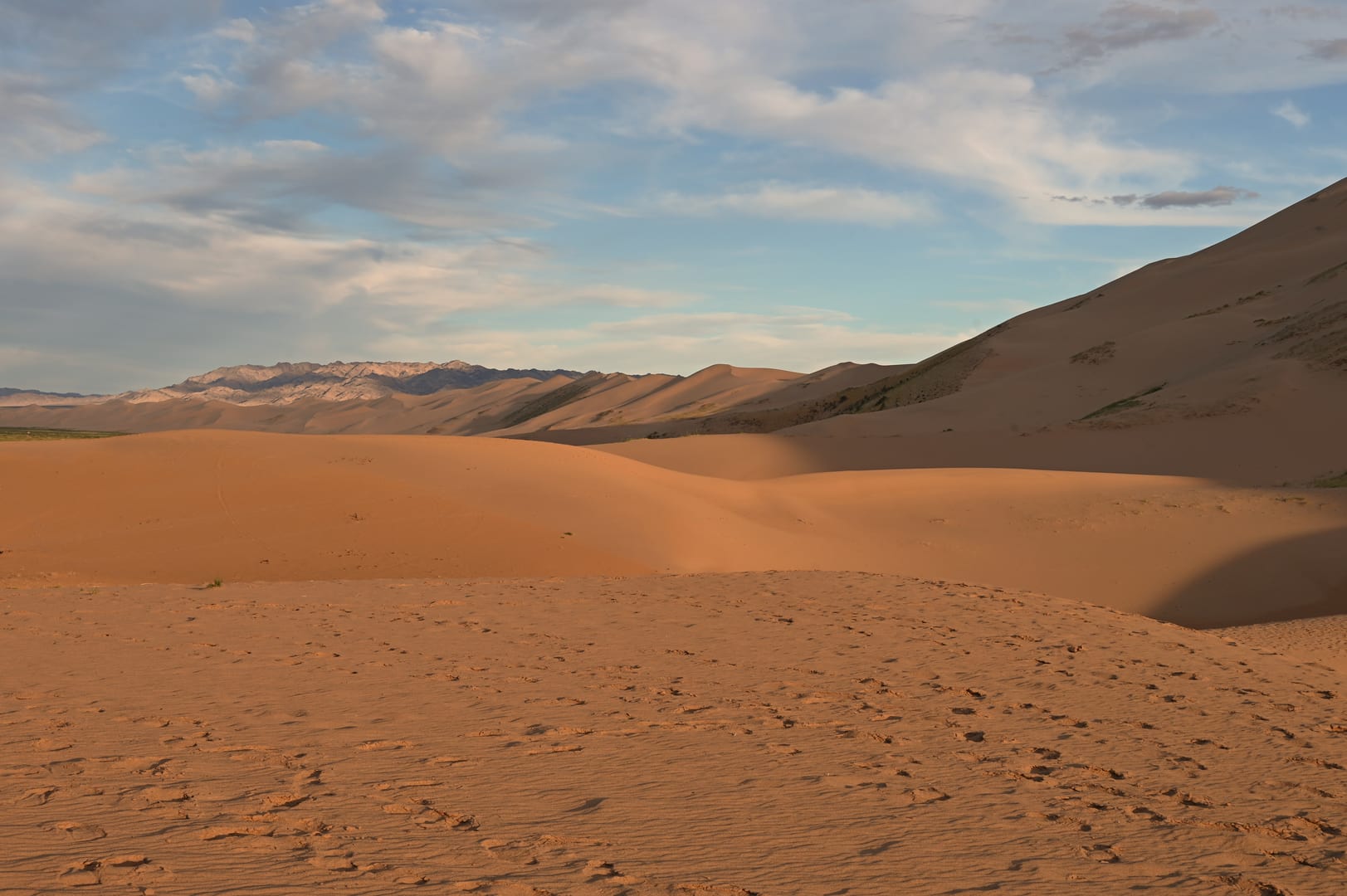 Khongoryn Els Dunes Stretching Across The Vast Gobi Desert