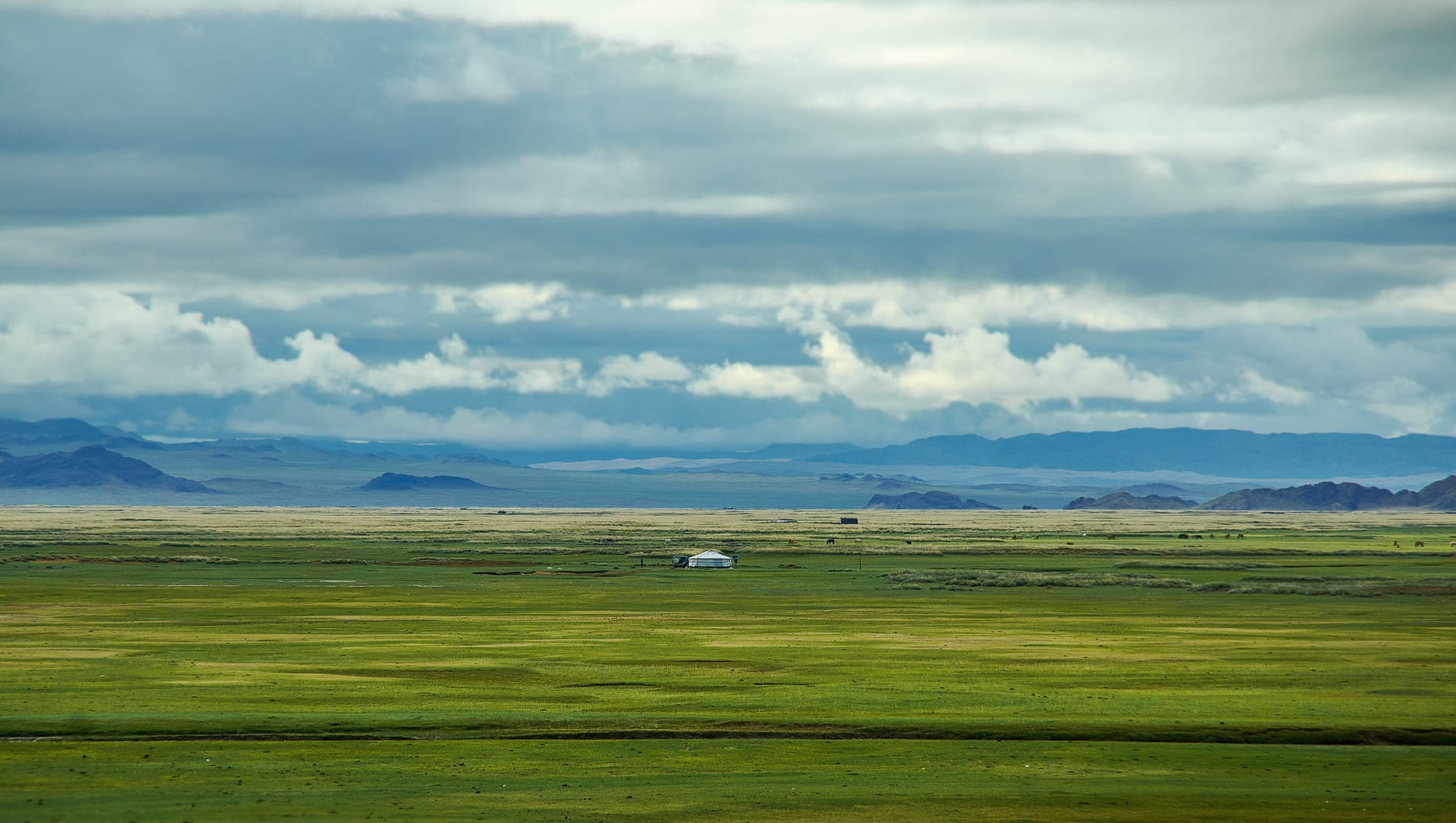 Mongolian Steppe Turning Green Beneath Long Summer Skies