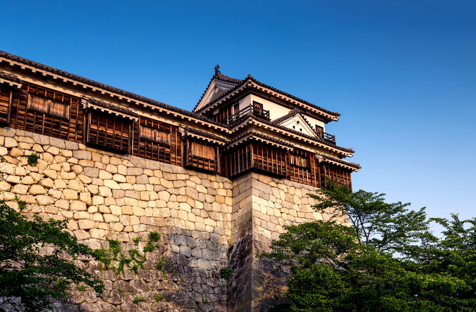 Matsuyama Castle rising above peaceful Shikoku landscapes