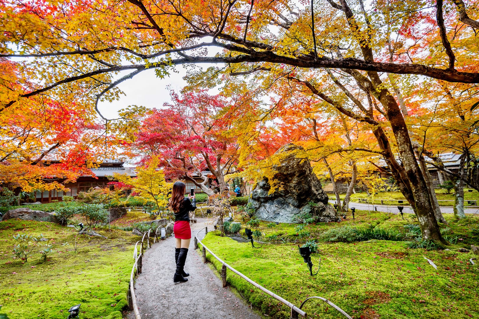 Japanese Garden Glowing With Vibrant Autumn Colours