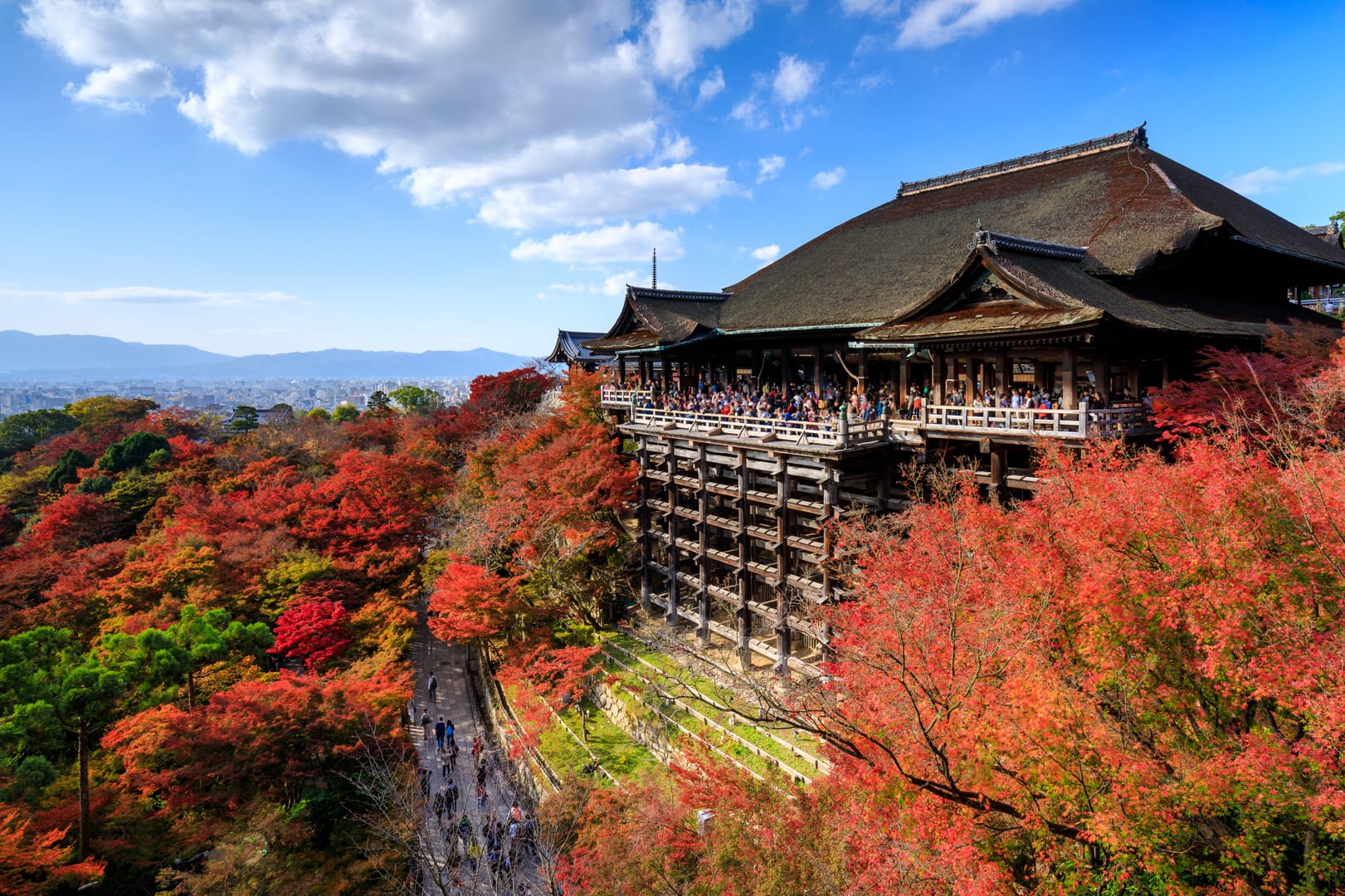 Kiyomizu Dera Temple Glowing Beneath Brilliant Autumn Foliage