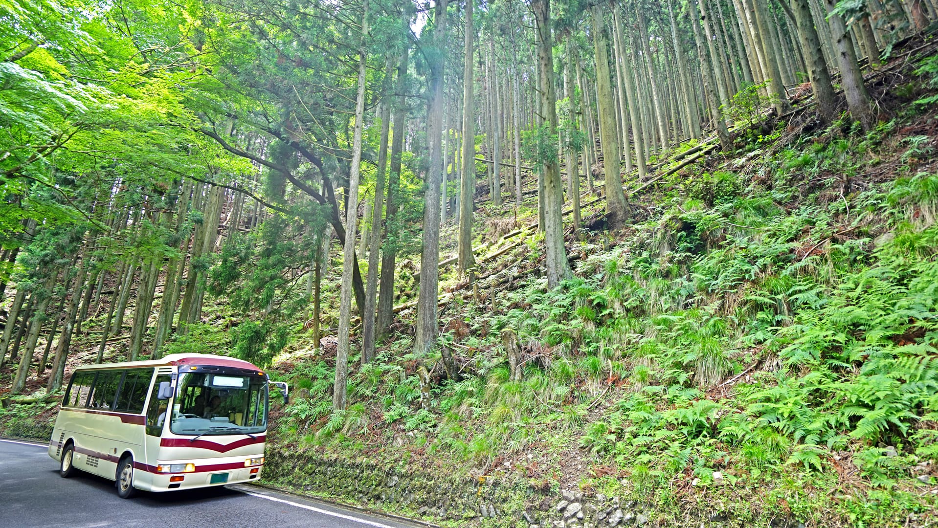 Rural Bus Connecting Quiet Villages Across The Japanese Countryside