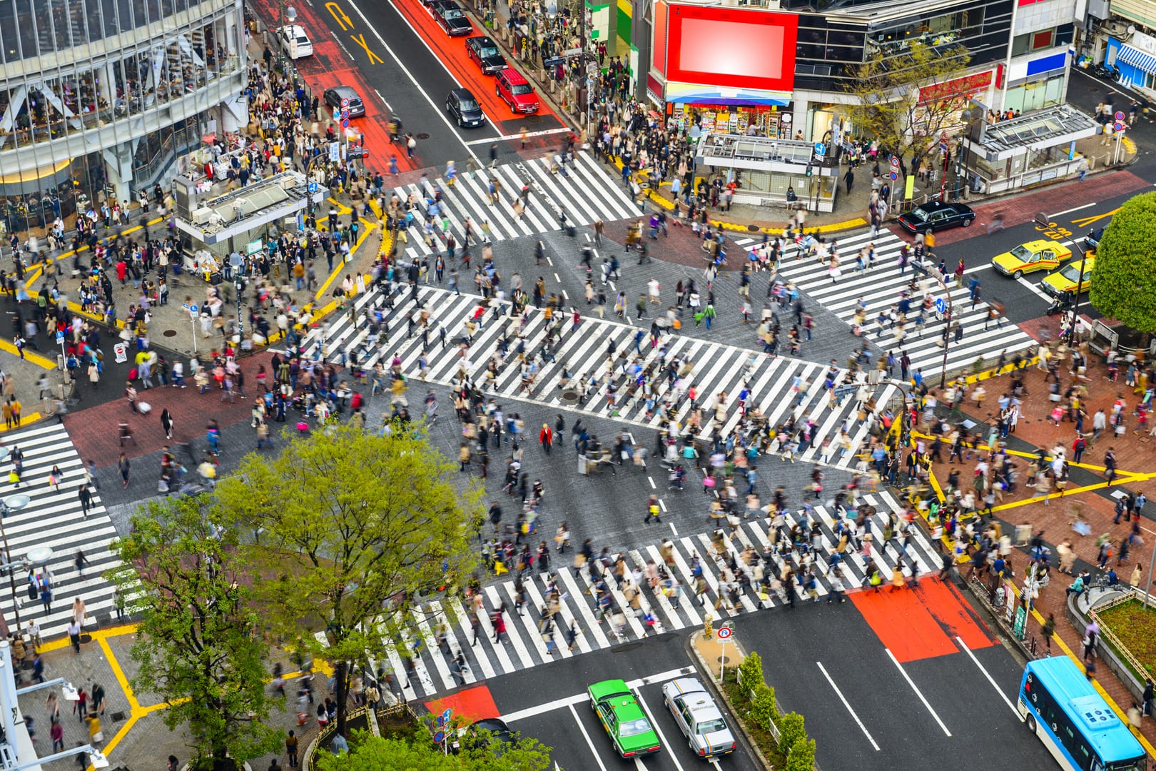 Sbihuya Crossing Revealing The Energy Of Modern Japan