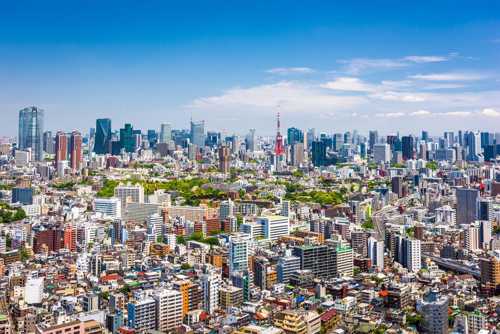 Tokyo Skyline Welcoming Travellers After A Smooth Japan Arrival