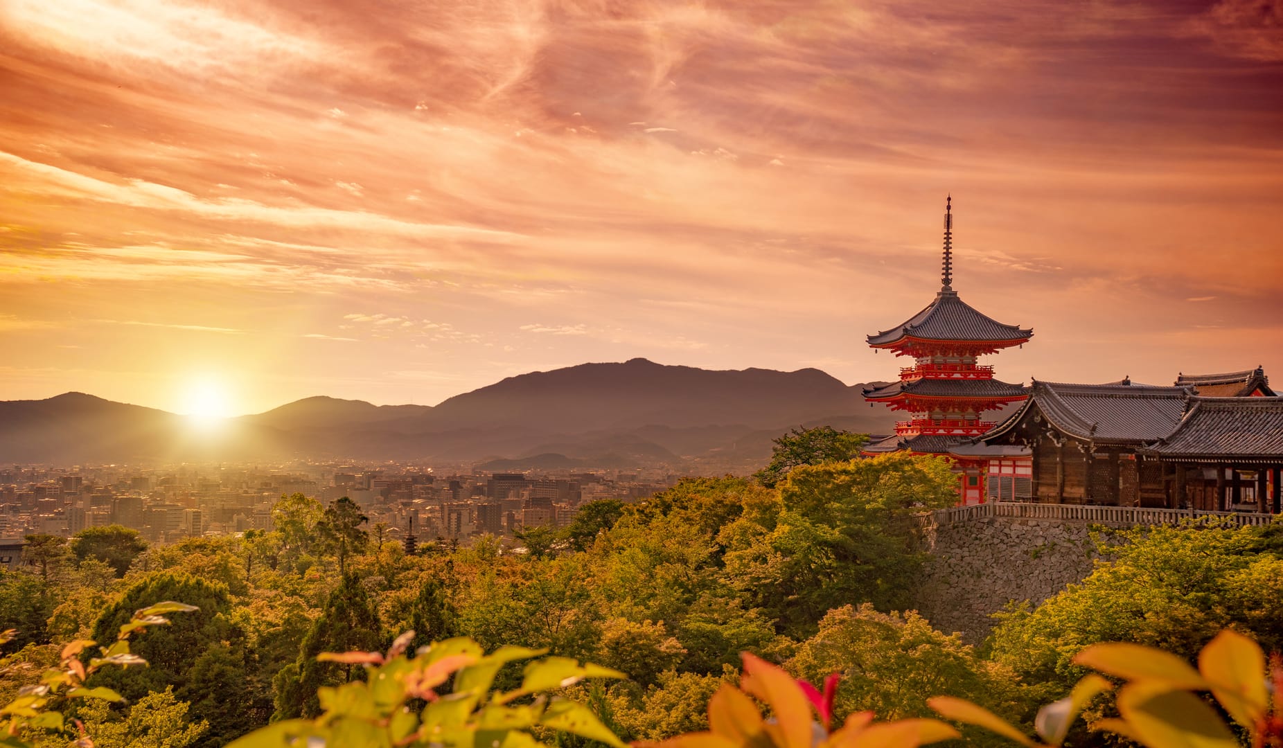 Kiyomizu Dera Temple Surrounded By Fresh Summer Greenery