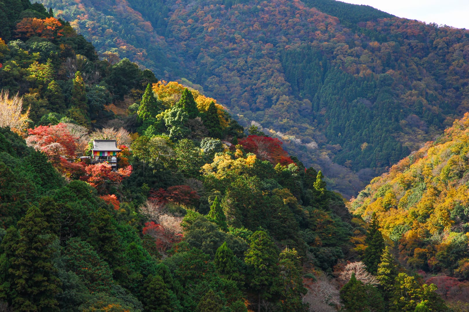Arashiyama Valley Glowing With Brilliant Autumn Colours