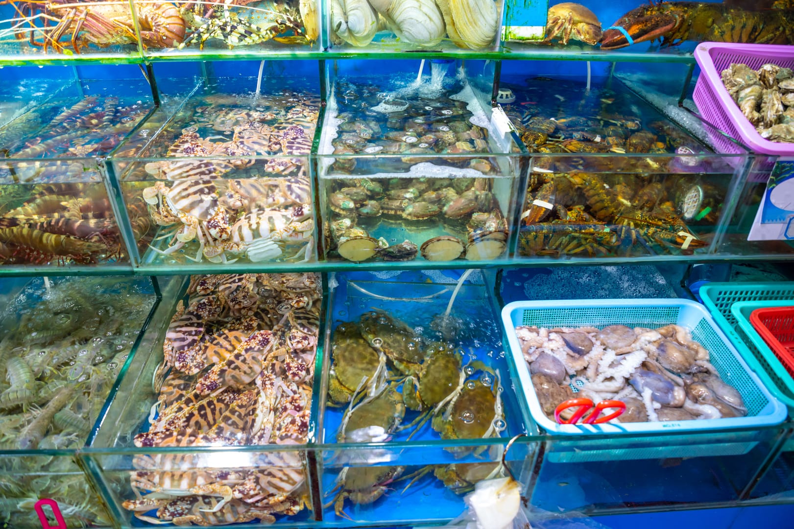 Hokkaido Seafood Market Overflowing With Fresh Northern Flavours