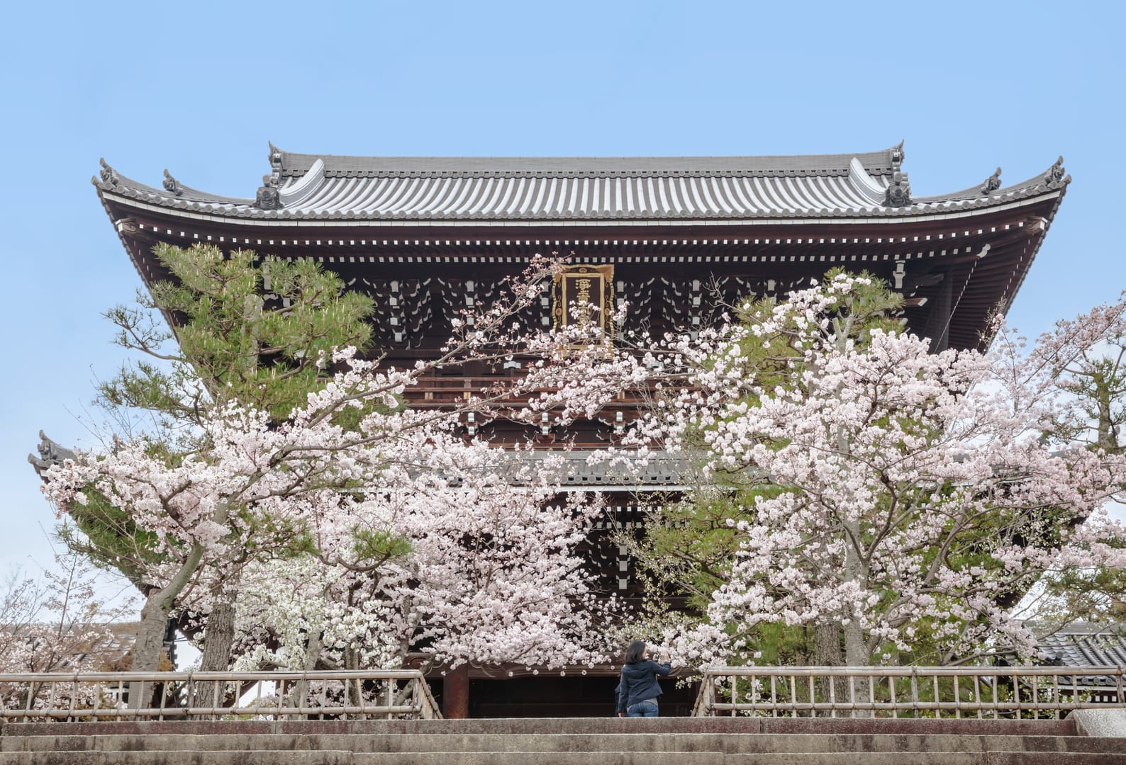 Japanese Cherry Blossoms Framing A Peaceful Spring Temple